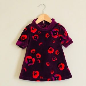 Tahari Baby vivid velvet dress SZ 18 months